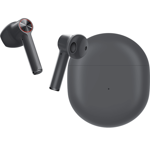 OnePlus Buds Black with Case